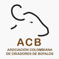 Asociación Colombiana de Búfalos