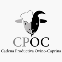 Consejo Profesional